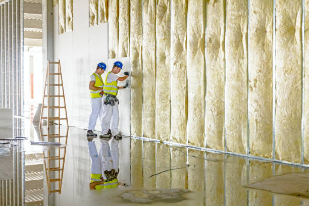 Types of Insulation We Offer in Blue Earth, MN